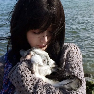 文豪野犬第一季